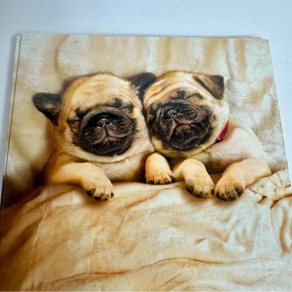8 Avanti Greeting cards - Pug dogs in bed
Holiday: Valentine’s Day - Picture 3 of 8